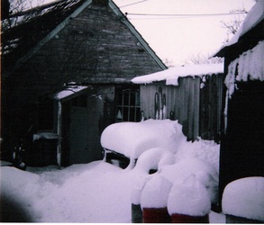 Snowfall of February 1978 made farming difficult